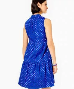 Lilly Pulitzer Novella Swing Dress (Lilly Squared)