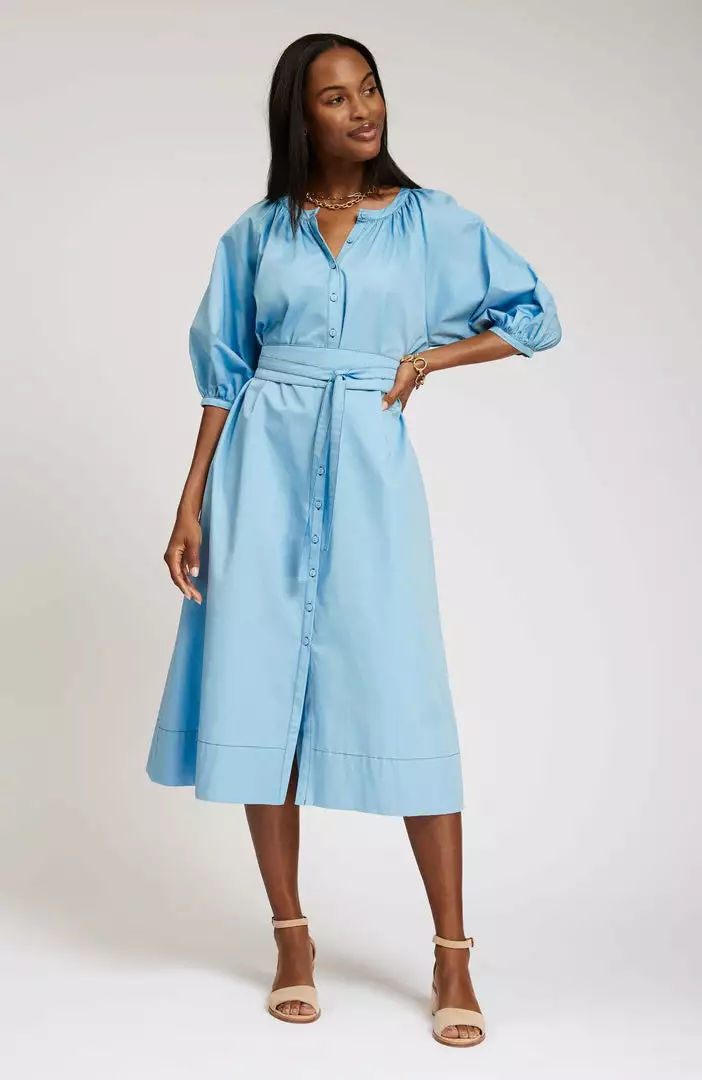 Tyler Boe Genivive Button Down Midi Dress (Coastal Blue) Dresses 3 Tyler Boe Genivive Button Down Midi Dress (Coastal Blue) Dresses