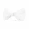 Brackish Accessories Carew Bow Tie 1 Brackish Accessories Carew Bow Tie