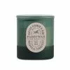 Paddywax Vista 12oz Candle Cactus Green (Flower & Aloe)