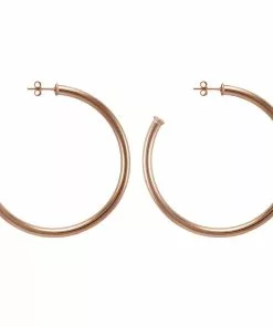 Sheila Fajl Everybody's Favorite Hoops 2 1/2 Champagne