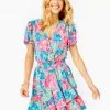 Lilly Pulitzer Maryanne Flutter Sleeve Dress (Surf Blue Luscious Lions) Dresses