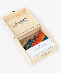 Brackish Ike Pocket Square (Pheasant, Guinea, Peacock) Accessories