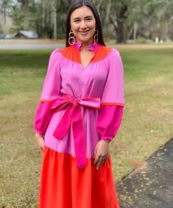 Crosby By Mollie Burch Delphine Dress (Berry Colorblock)