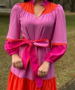 Crosby By Mollie Burch Delphine Dress (Berry Colorblock)