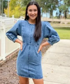 Wild Pony Denim Dress W/ Front Seams