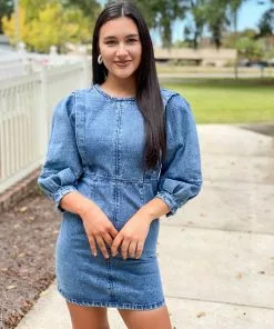 Wild Pony Denim Dress W/ Front Seams