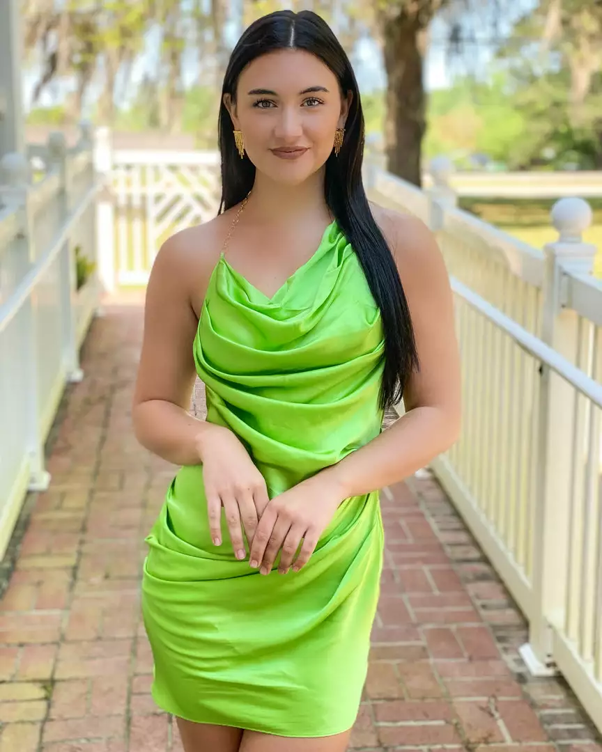 Amanda Uprichard Ferraro Dress (Apple) 3 Amanda Uprichard Ferraro Dress (Apple)