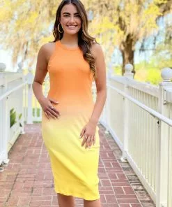 S'edge Quinn Dress (Ombre) Dresses